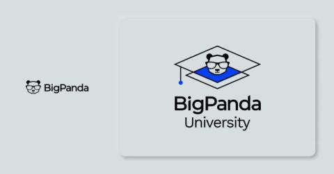 bigpanda