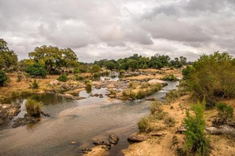 Natural Capital Investing: Emerging Asset Class Transforms Institutional Portfolios