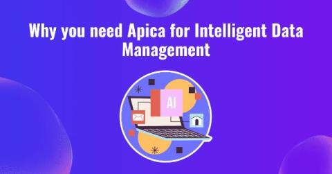 Apica