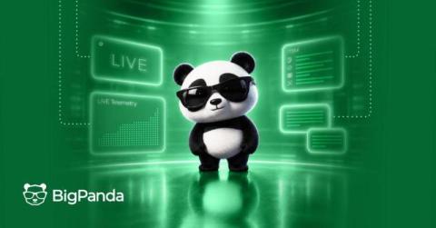 bigpanda