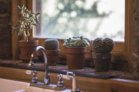 How Proper Gutter Maintenance Can Protect Homes from Water Damage