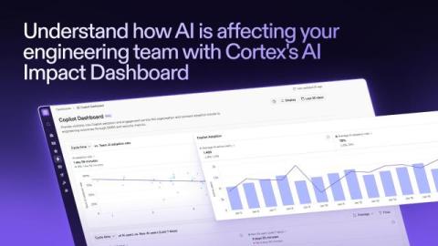 cortex