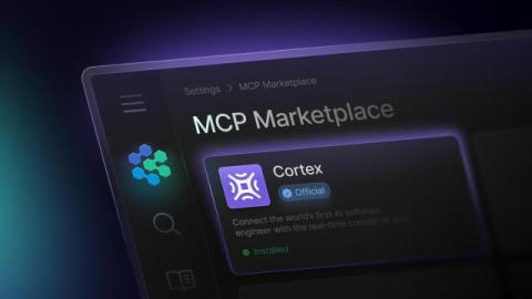 cortex