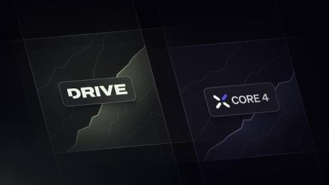 cortex