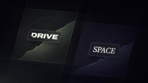 cortex