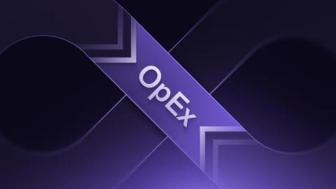 cortex