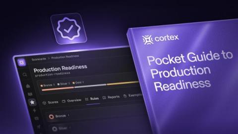 cortex