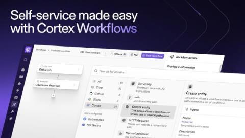 cortex