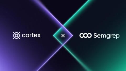 cortex