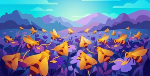 datadog