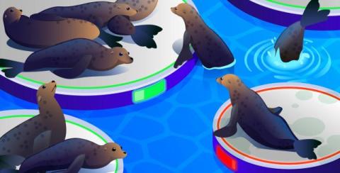 datadog