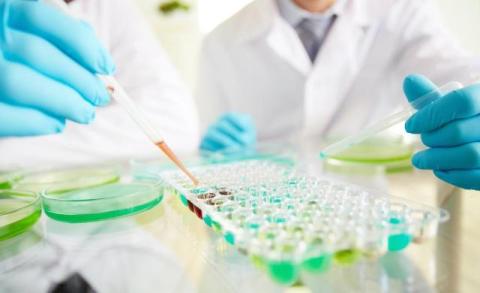 CRO Pharma, Clinical Trial CRO, and European CRO: How the Terms Fit Together
