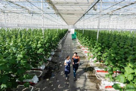 AgroConcept România optimises technical operations with Frontu: faster services for farmers, lower costs, and greater transparency