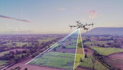 Drone Mapping vs Satellite Imagery - Which Data Actually Supports Field Work?