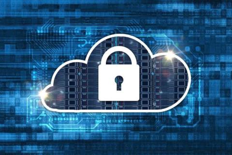 Is Website Hosting Worth It for New Businesses? Security, Risks & Performance