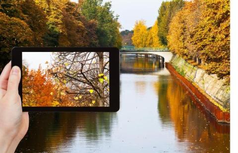 Simple Ways to Change Image Formats and Crop Pictures Online