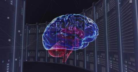 AI Hosting: The Colocation vs. Cloud Dilemma for Your Next Project