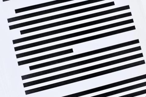Best Automated Redaction Tools US