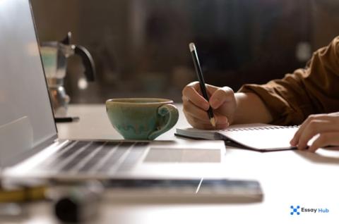EssayHub Review: I Ordered an Essay and Here's How It Went