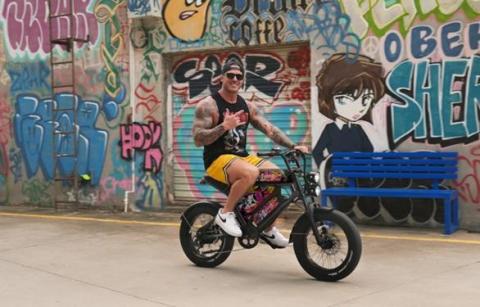 How Battery Capacity and Energy Management Shape Long-Range E-Bike Performance