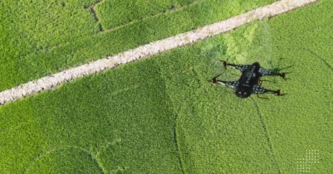 How Multispectral Drone Surveys Enhance Monitoring and Operational Intelligence