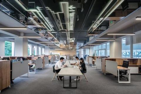 Why Businesses Gain Clarity Through Expert Auditing