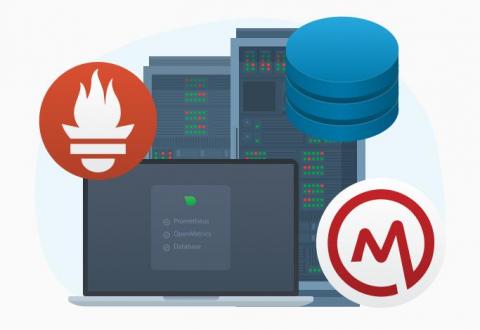 netdata