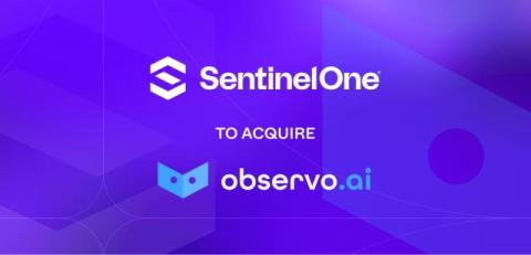 observo ai