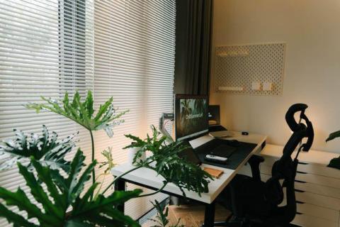 Creating a Calm Home Office Environment for Better Focus