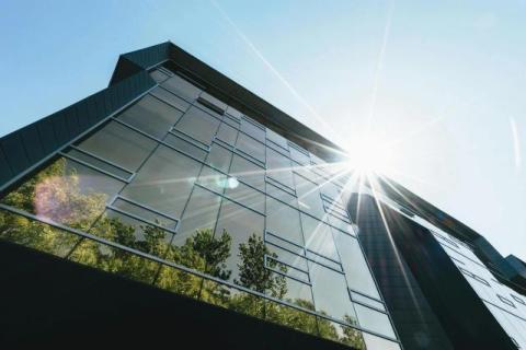 The Green Gamble: What's the Real Cost of Not Going Sustainable?