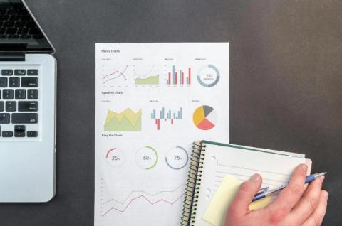 Want Your New Business To Survive? Here's How