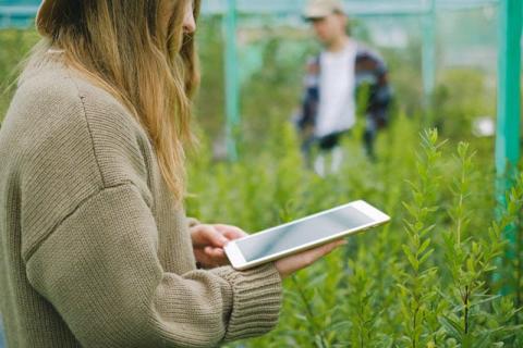 How Technological Progress Supports Global Environmental Goals