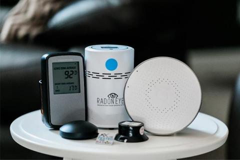 Why Indoor Air Quality Declines Quickly When Mold Goes Untreated