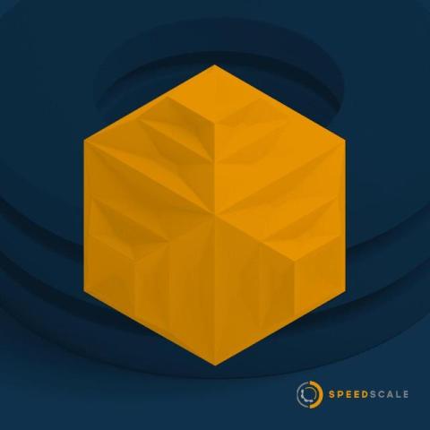 speedscale