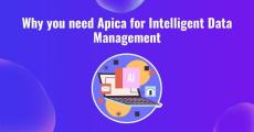 Apica