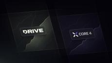 cortex