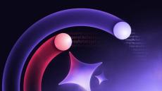 cortex