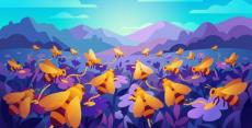 datadog