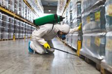 Reactive vs. Proactive Pest Management: Which Approach Reduces Operational Overhead and Costs