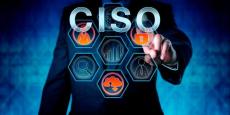 vCISO Services | Expert Cyber Governance and Strategy