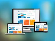 Why Fast-Growing Ecommerce Brands Eventually Outgrow Off-the-Shelf Themes