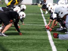 Investments, Sponsorships, and Financial Trends Transforming the Sports Business News Industry