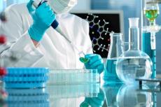 Why Primary Human Cells Are Important in Biomedical Research