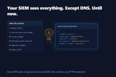 dns spy