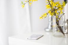 Eco-Friendly Office Decor Ideas for Businesses