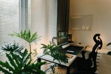 Creating a Calm Home Office Environment for Better Focus